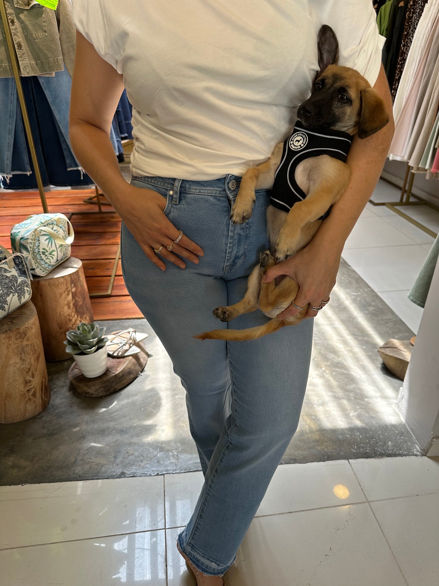 Jean Straight Mid Rise 346